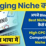 Blogging Niche kya hai